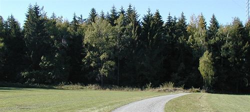 Hotel Am Bad-Wald Bad Liebenzell Exteriér fotografie
